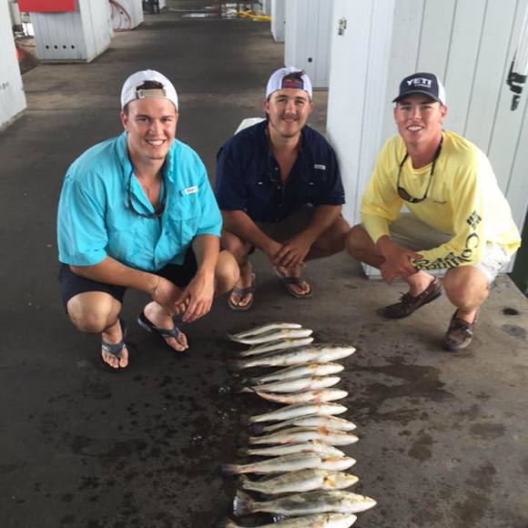 Meet your Posher, Keller - Picture 1 of 1